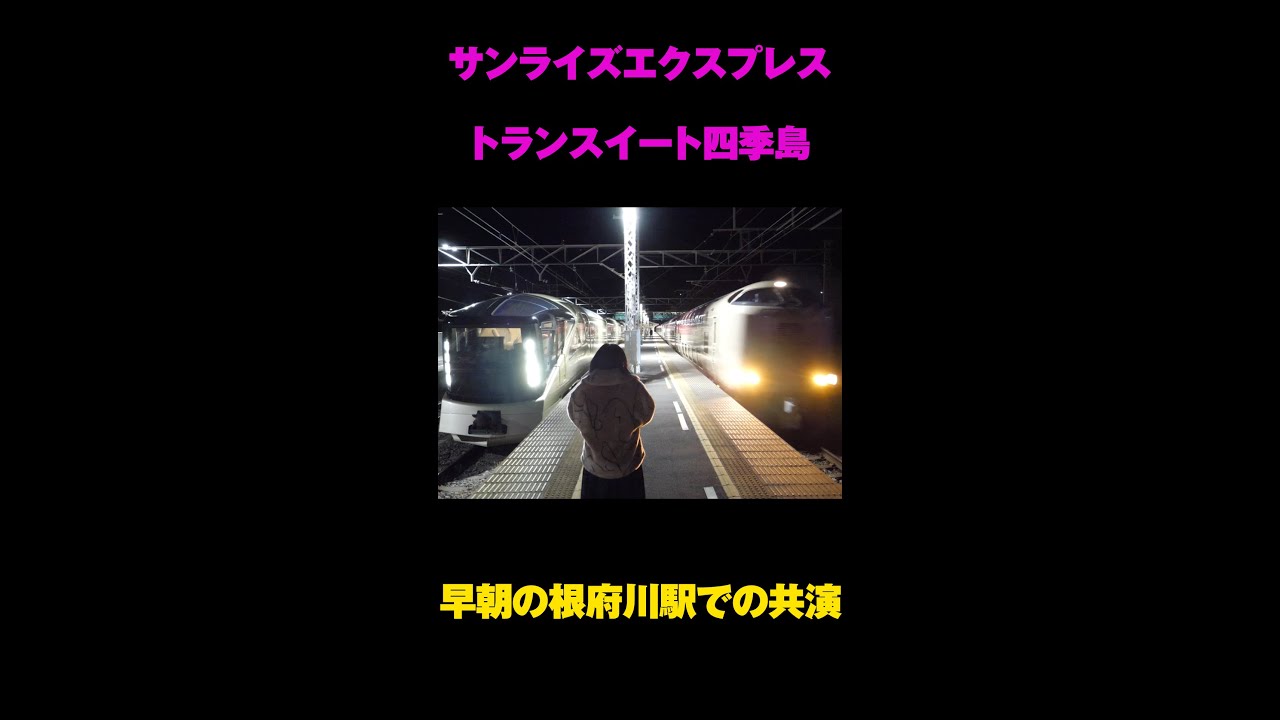 サンライズエクスプレス& TRAIN SUITE 四季島 貴重な寝台列車が揃う早朝の根府川#shorts #サンライズエクスプレス