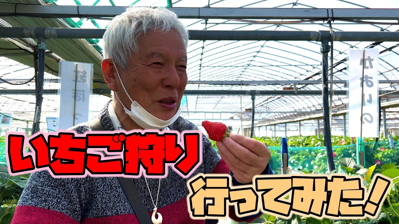 【清水国明】いちご狩り行ってみた！【いちご狩り】
