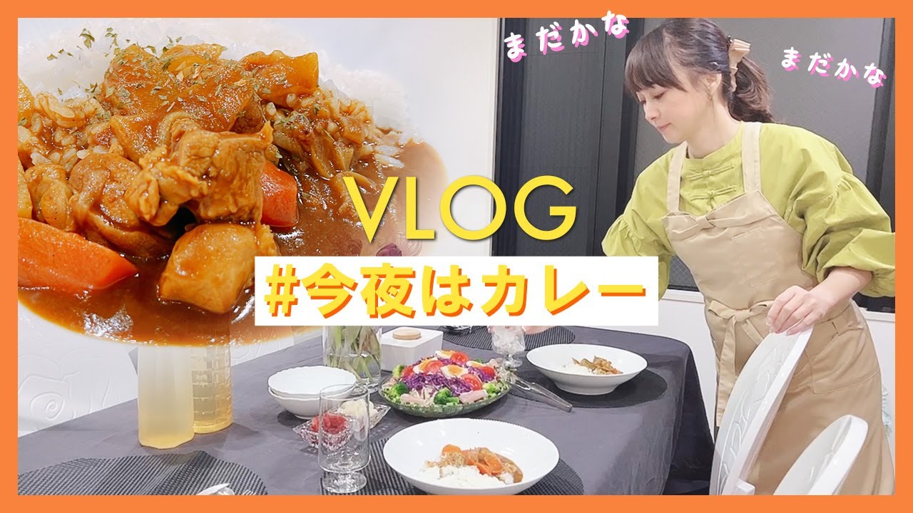 【VLOG】なんでもない日常、今夜の夕食はカレーです【渡辺美奈代】