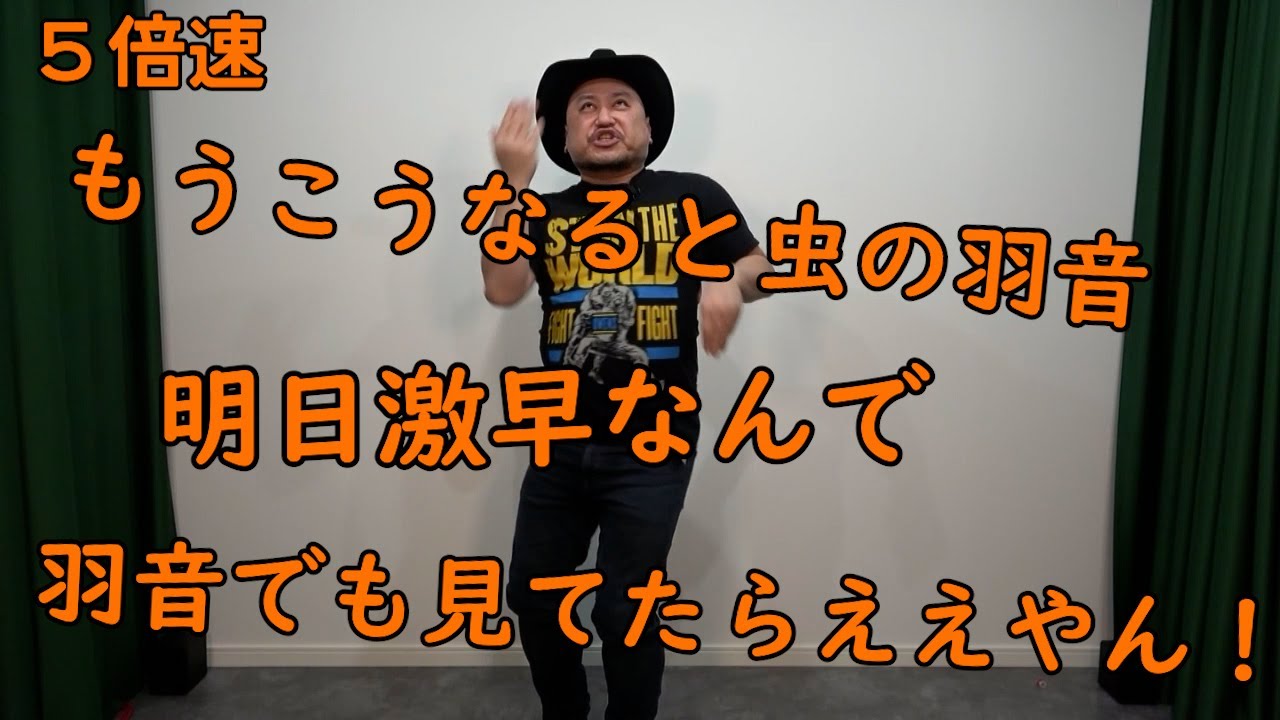 連打（1分60発シュー編）5倍速【こうなると虫の羽音】【シューシュー…】【バタバタバタバタ】