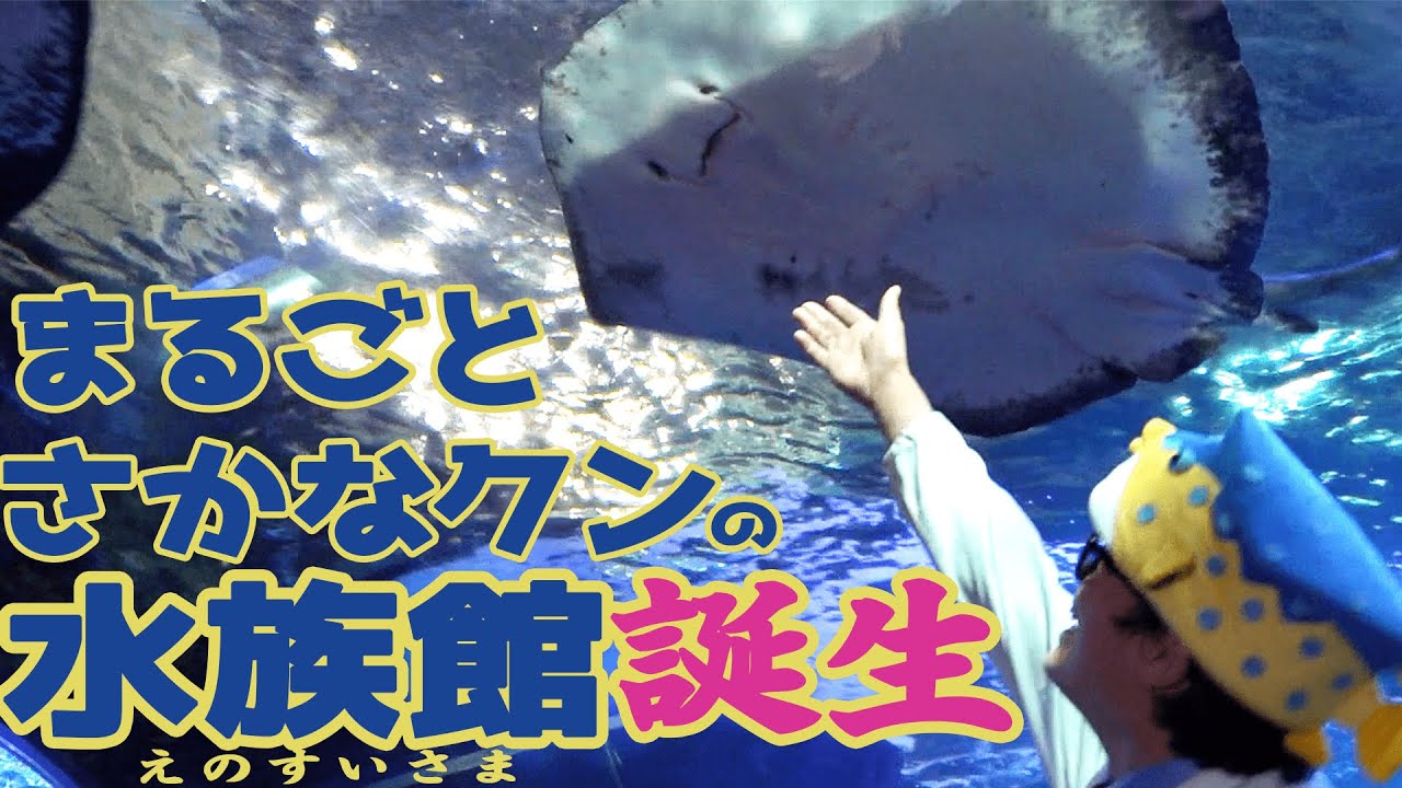 さかなクンが水族館をまるごとジャックしたらどうなるの？【期間限定】