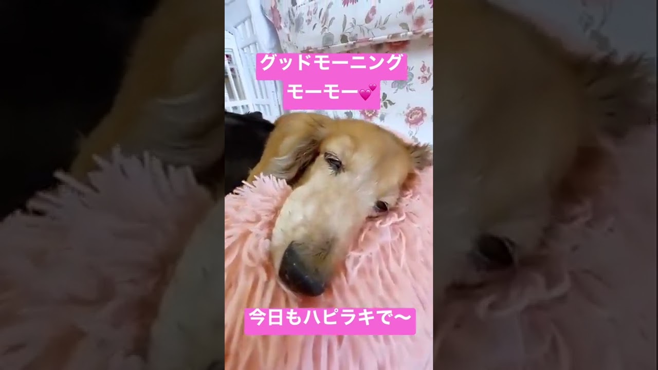 おはようございます。