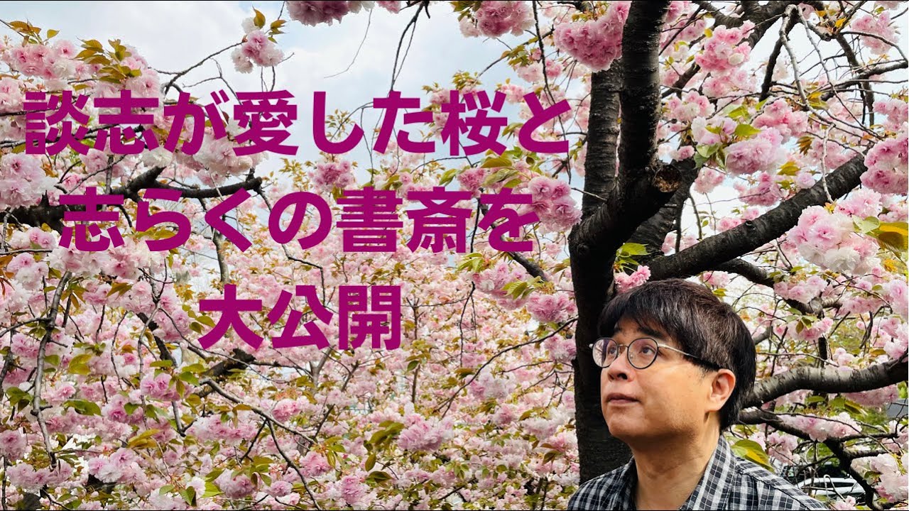 談志が愛した桜と志らくの書斎、大公開！