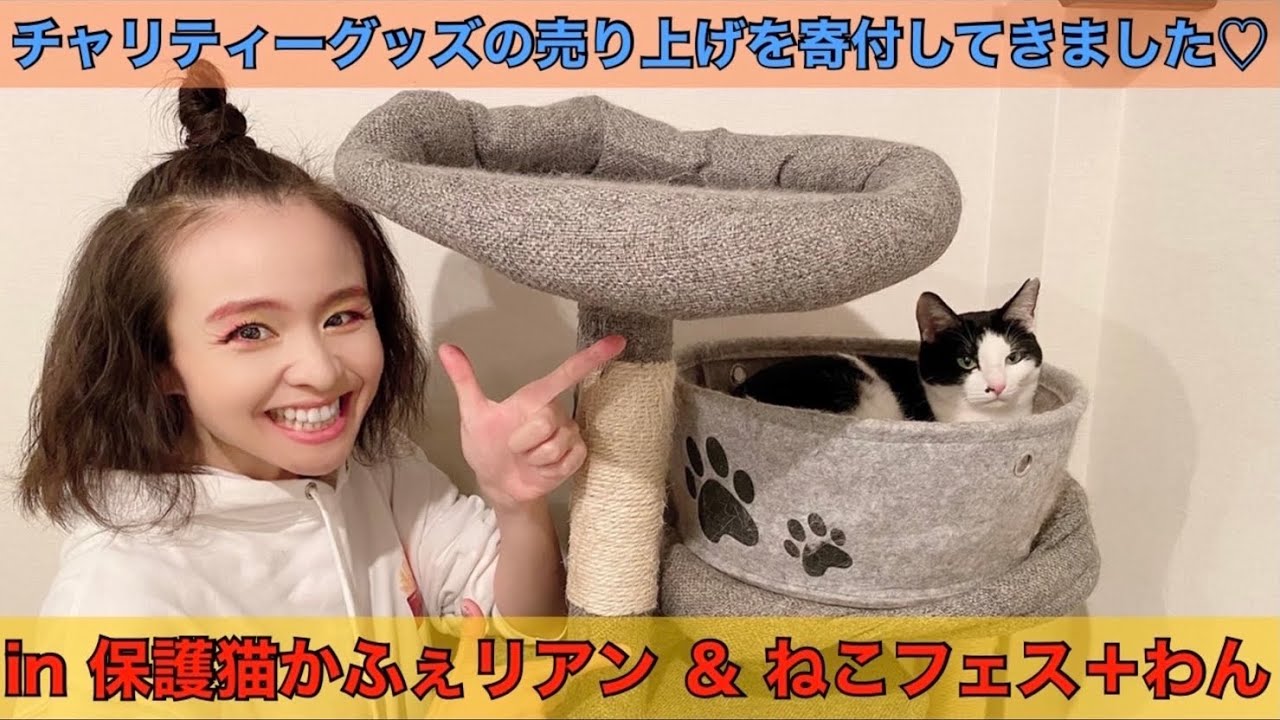 【コラボ】保護猫カフェ＆譲渡会を支援したら…またもや奇跡が！？