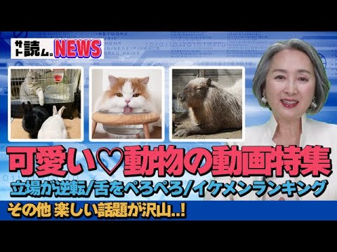 【NEWS】ウサギと猫の立場逆転！なぜ？可愛い💖動物の動画特集！ |アナウンサー 近藤サト