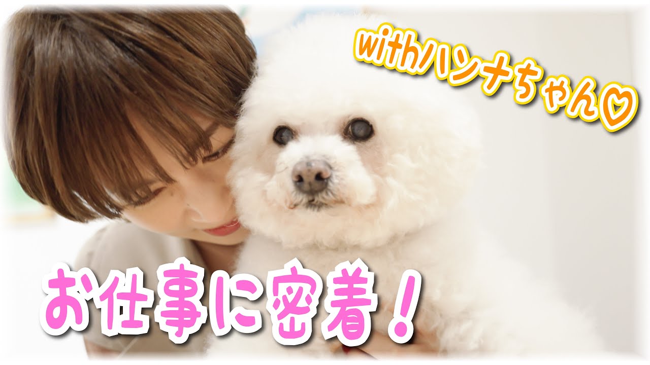 【感動】安田美沙子のかわいい愛犬「ハンナ」を紹介します♡【号泣】