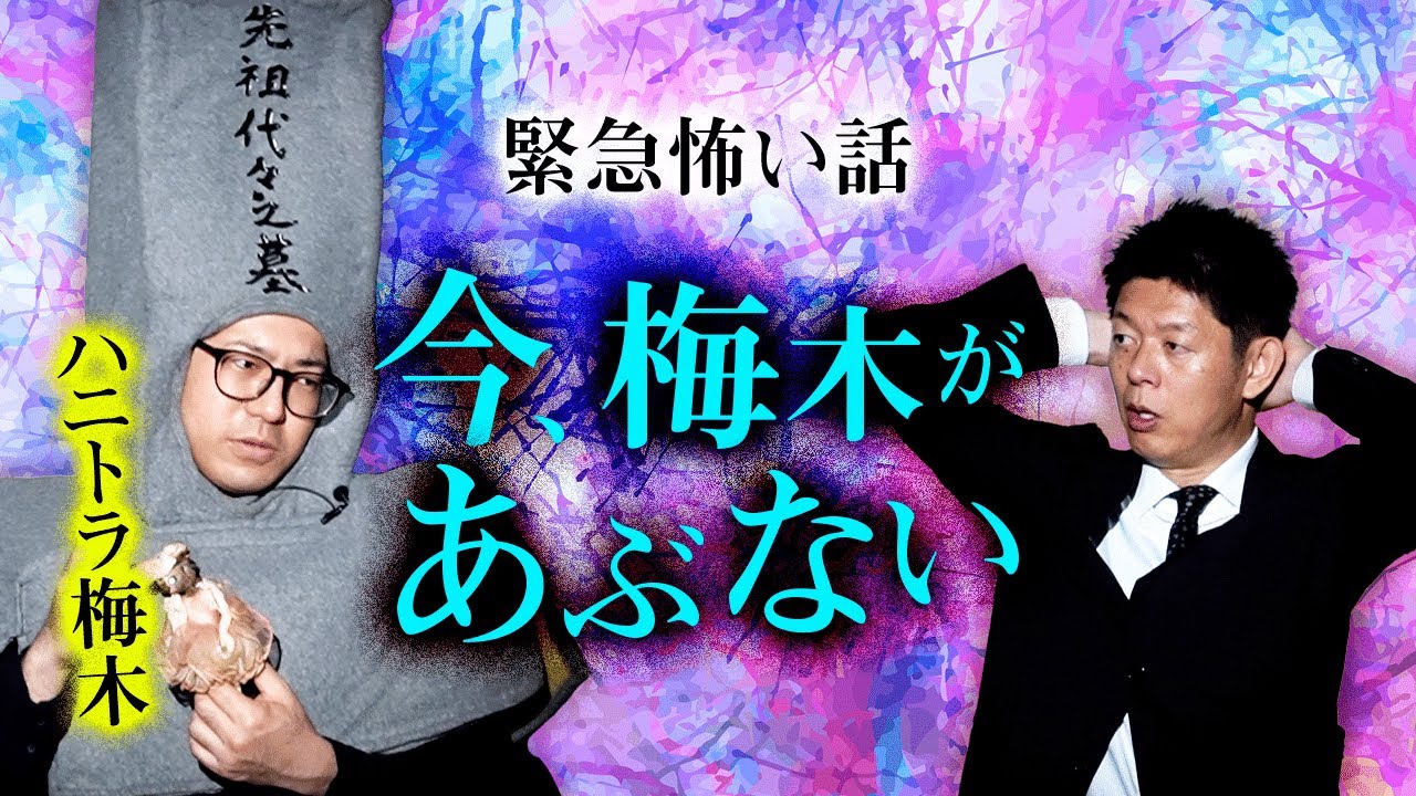 【ハニトラ梅木 怖い話】今、梅木があぶない！『島田秀平のお怪談巡り』