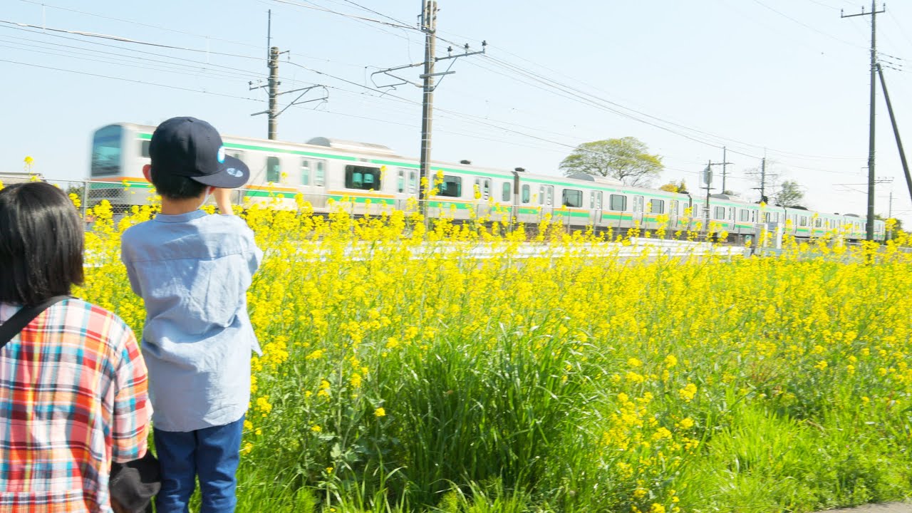 大宮周辺の鉄道スポットを巡ってきた