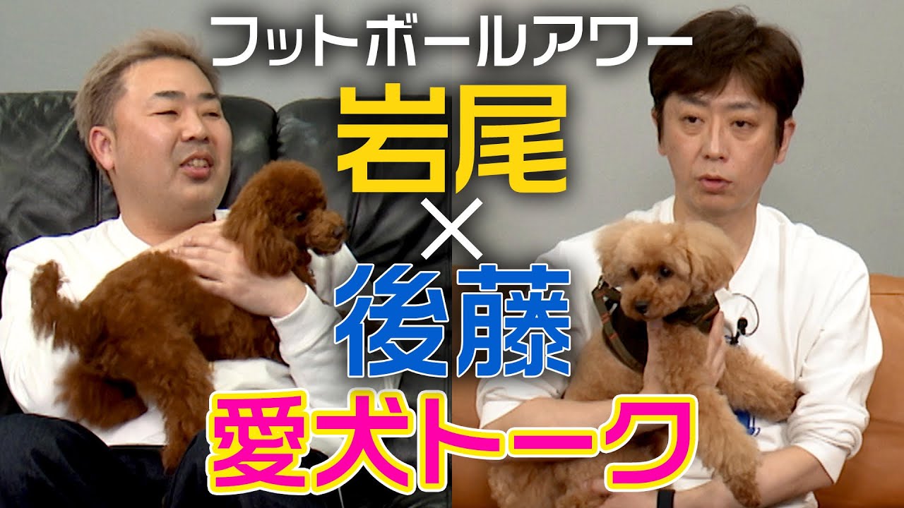 【岩尾×後藤】楽屋で2人きりトーク【トイプードル×犬のしつけ】