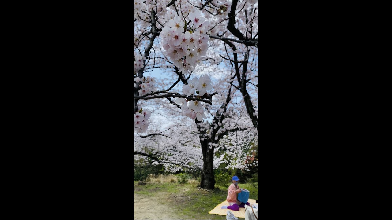 花より団子より気になること