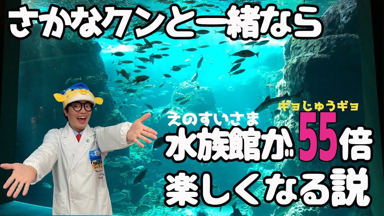 【GW緊急配信！】明日使える！さかなクン式水族館の楽しみ方10選教えちゃいます！