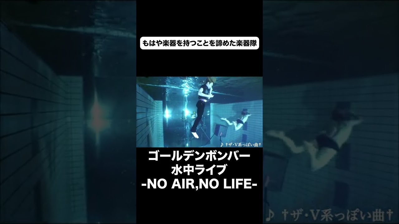 楽器はいずこへ… #ゴールデンボンバー #金爆 #NOAIRNOLIFE #フルは公式YouTubeへ