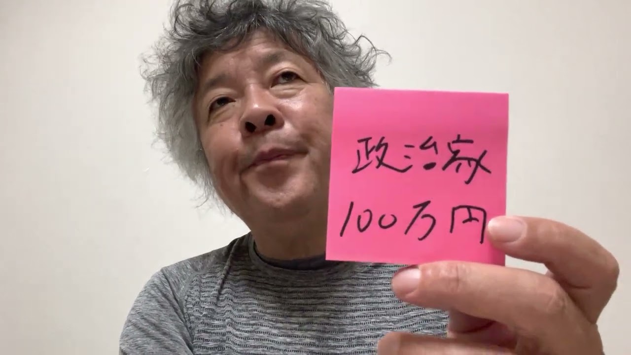 １００万円がうんぬんとか言う方は政治家に向いていない