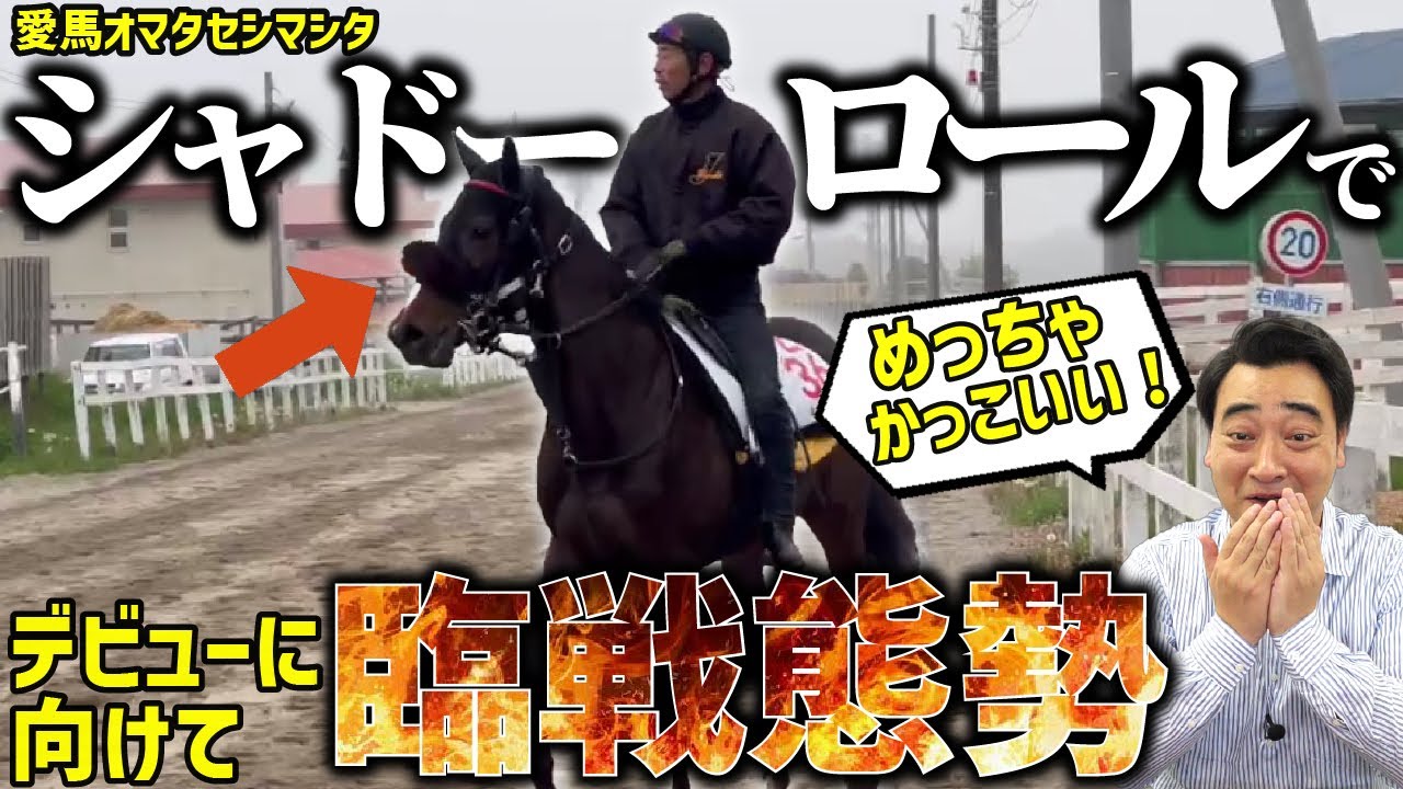 【馬主】デビューに向けて秘密兵器導入！今回はカッコイイ愛馬をお届けします！