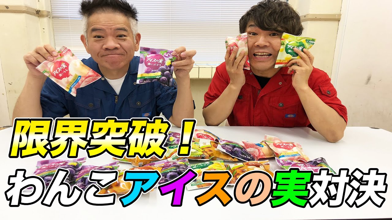 わんこアイスの実！何個食べれるか対決！