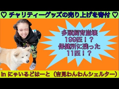 【コラボ】冷暖房つきの家を保護犬にプレゼントしたくてシェルターにお邪魔したら…感動しっぱなし！？