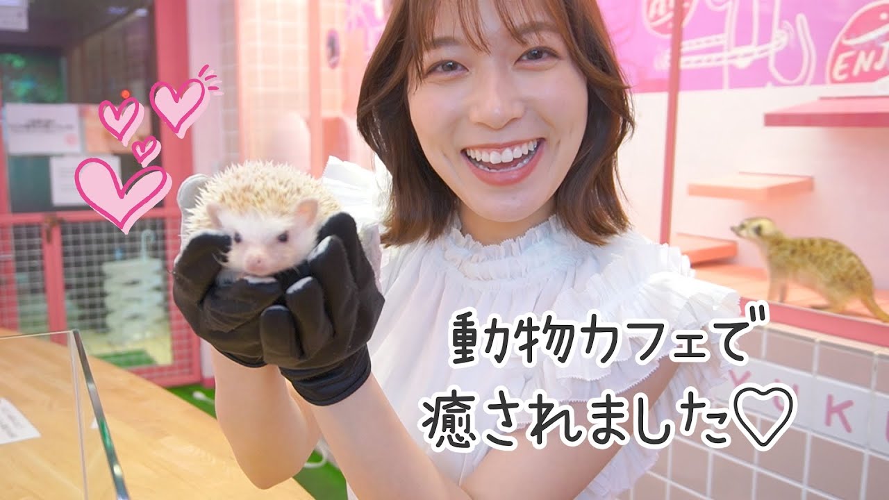 【休日vlog】原宿で可愛い動物たちに癒されてきました🦔💗【阿部華也子】