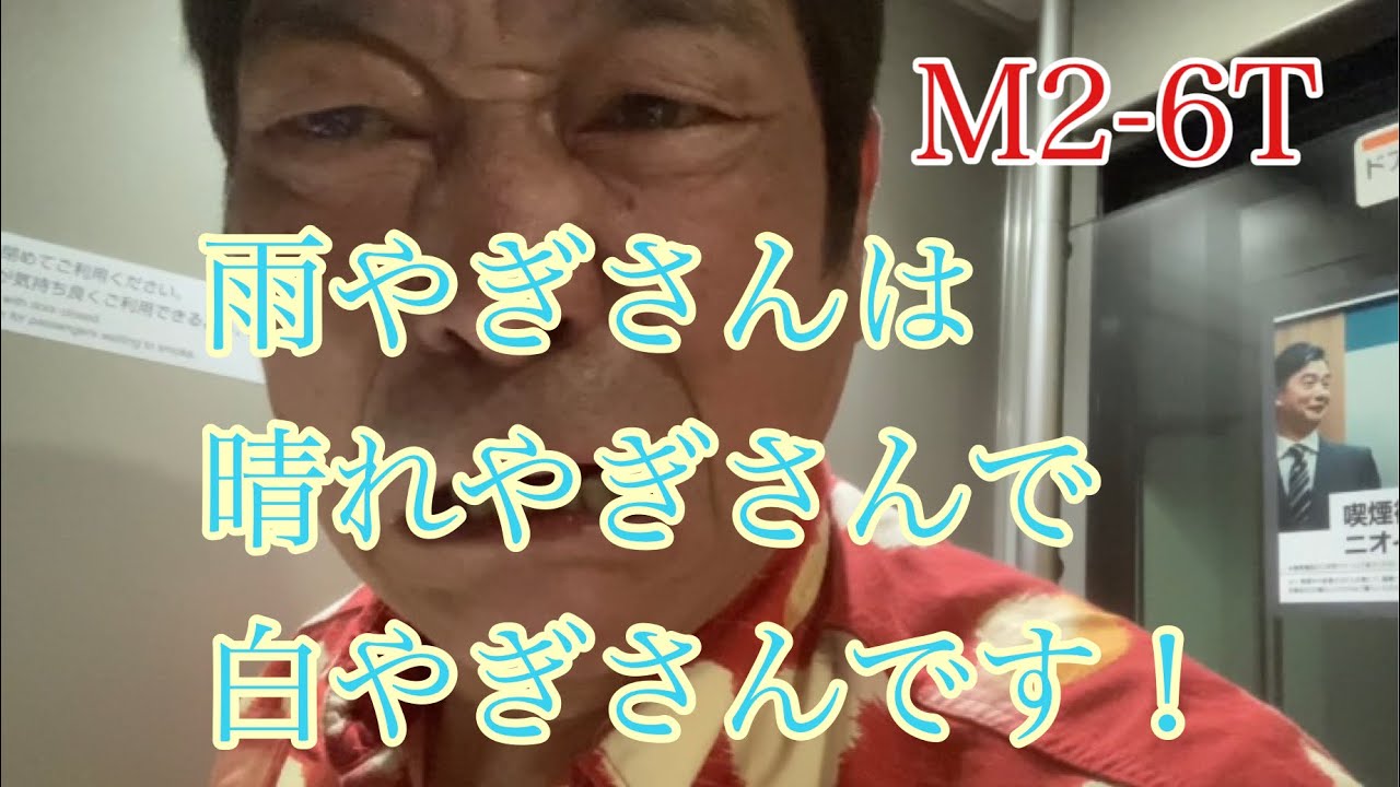 ダンカン虎輪書　2022・5・28  M2-6T  雨やぎさん改め晴れやぎさん・・いえいえ白星を運ぶ白星　やぎさんです！