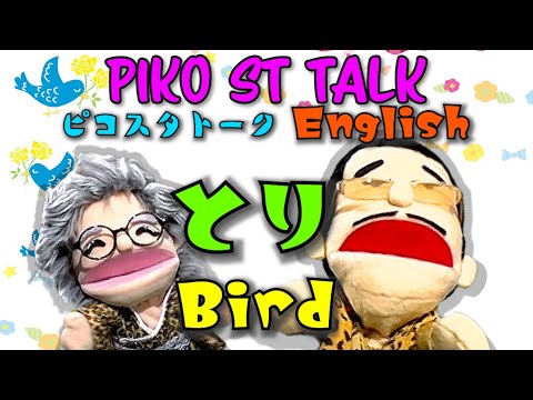 PIKO ST TALK!  Why can birds fly?
