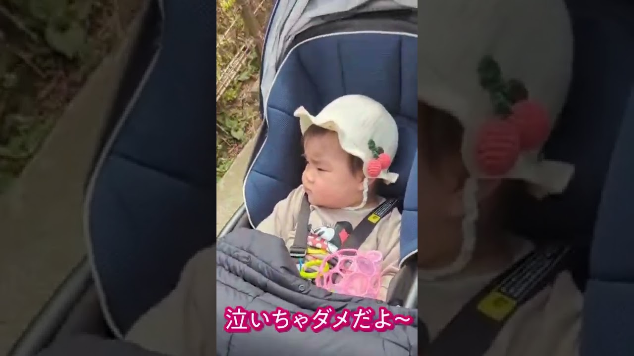 泣くなよ〜チェリ子☺️ ♯shorts