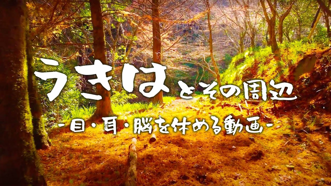 うきは秋冬春物語【ケツのチャンネル】