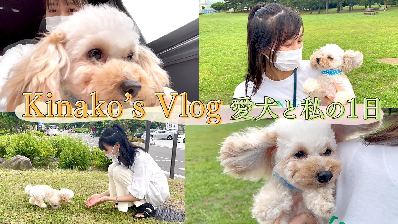 【Vlog】私の大切な家族🤍きなこを紹介します〜🐶 | 杉本愛里の日常