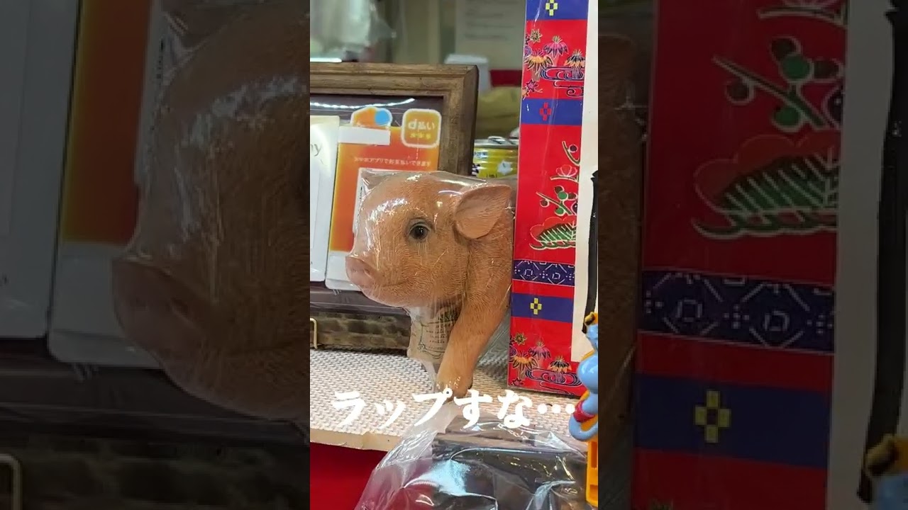 少しピリつく豚肉屋のディスプレイ