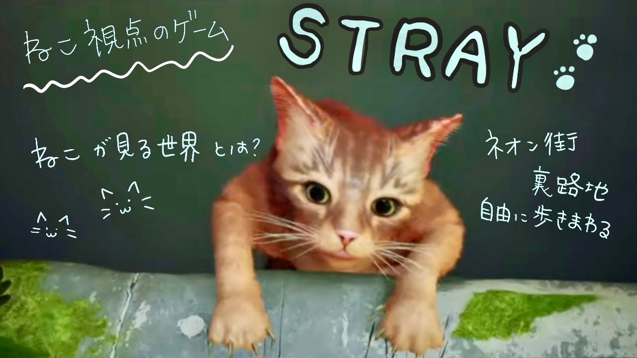 【STRAY】猫ちゃんゲーム【Part1】