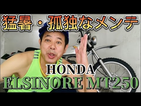 【バイクメンテナンス】嫁ブチ切れ💢急遽撮影！！！愛車HONDA ELSINORE MT250 猛暑・汗だく💦孤独なバイクメンテナンス