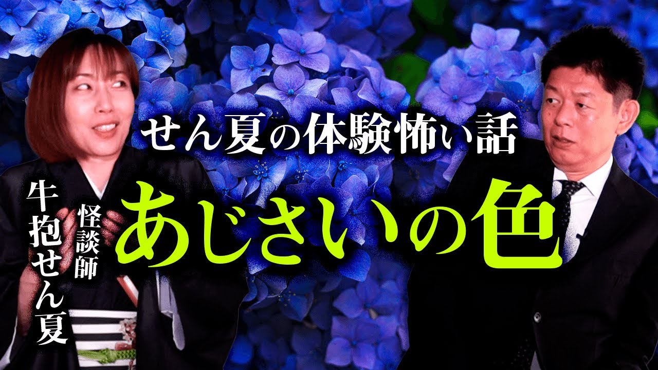 【牛抱せん夏】あじさいの色 実体験怖い話『島田秀平のお怪談巡り』