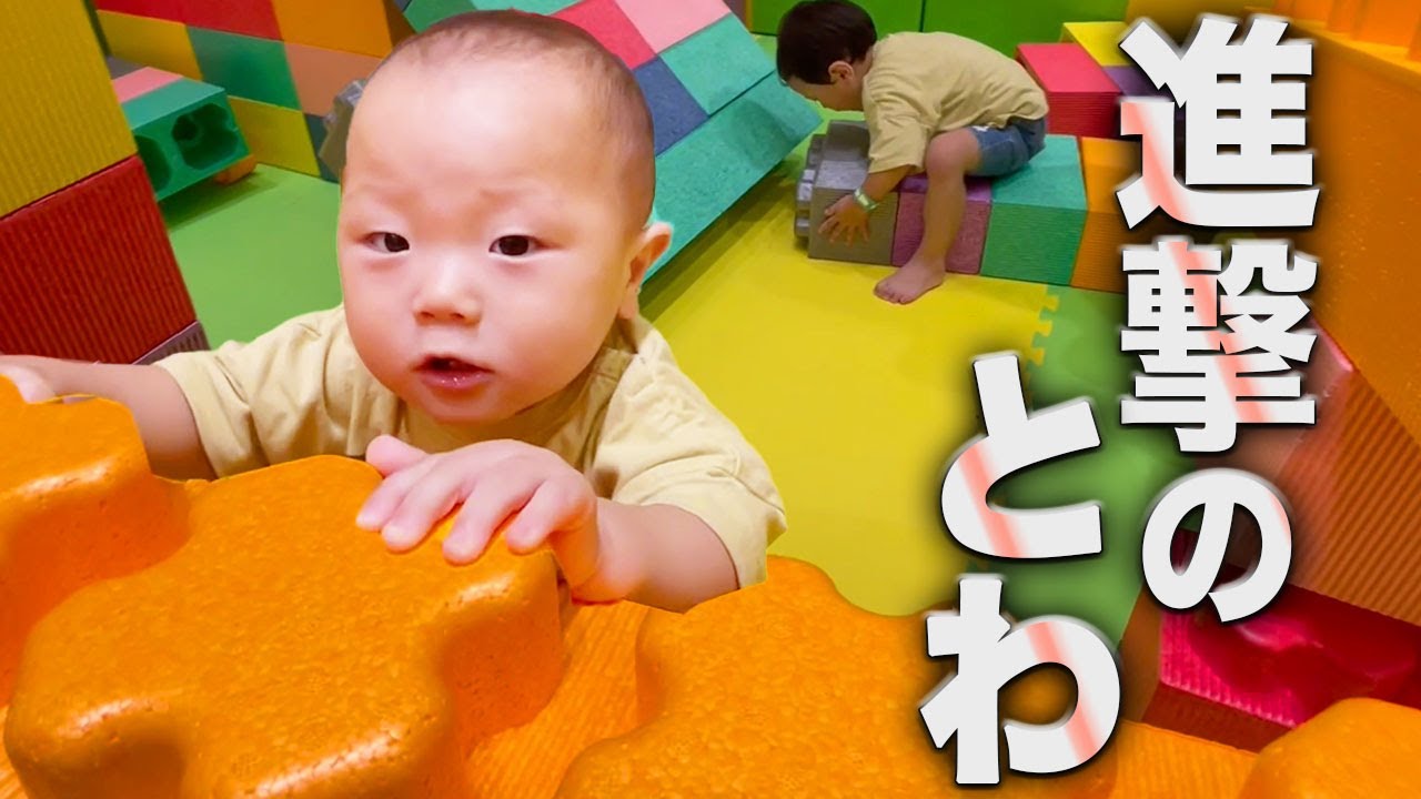 【お台場】巨大ブロックで遊んでいたら進撃のとわ登場！！