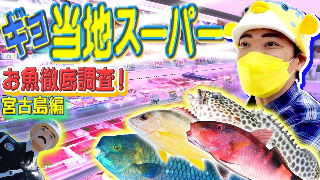 【ケンミンGYO】トコロ変わればウオ変わる？地域によってスーパーにいるお魚が全然違いました！【宮古島編】