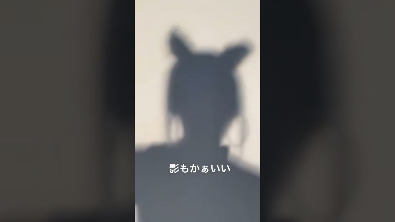 難易度1のクソクイズ