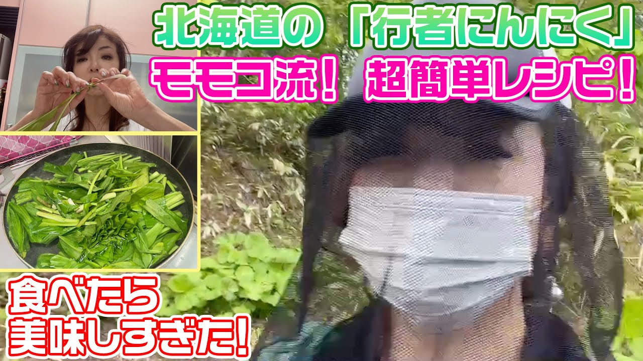 ▶245【超簡単レシピ！】モモコが北海道の山で「行者にんにく」を採って来た！▼自宅で料理してパパと長女と食べたら絶品でした！！！