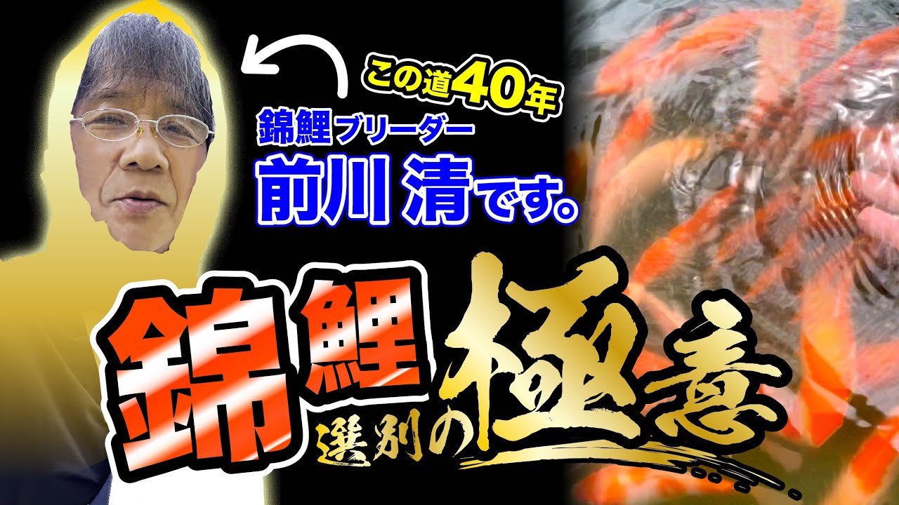 ついに前川清が芸能人を辞める！？