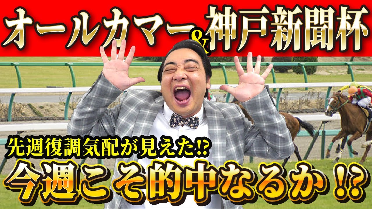 【オールカマー　神戸新聞杯】復調気配！？今週こそ当てたい斉藤の日曜重賞予想！