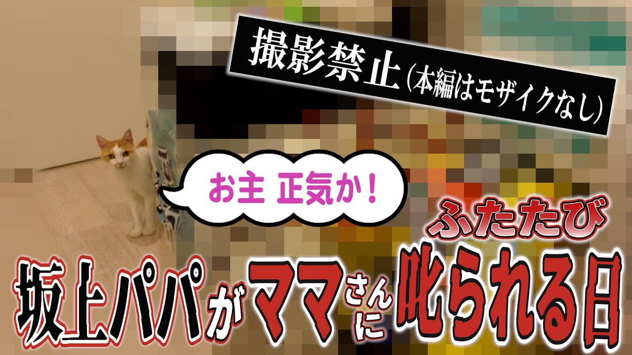 坂上パパがママさんにふたたび叱られる日　〜今回、ガチで身を削っています〜