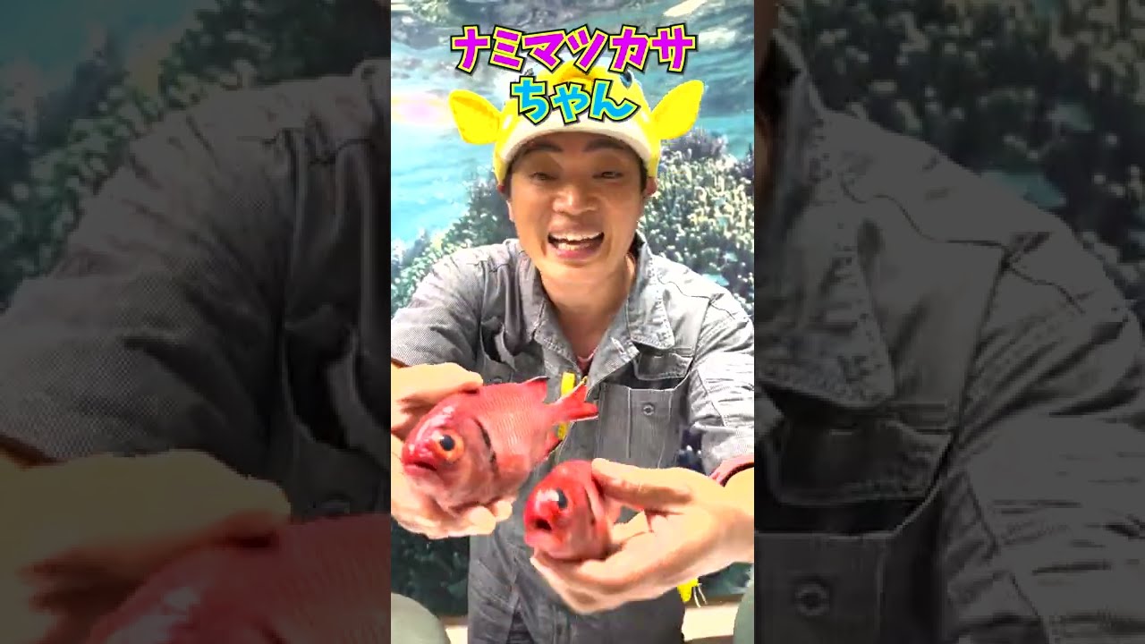 【秋】館山の旬のお魚ちゃんをギョ紹介します！