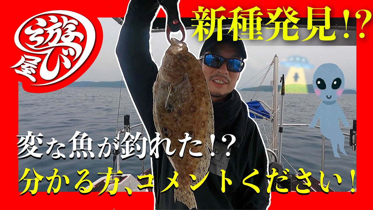 【釣り】この魚なんですか？わかる方教えてください！