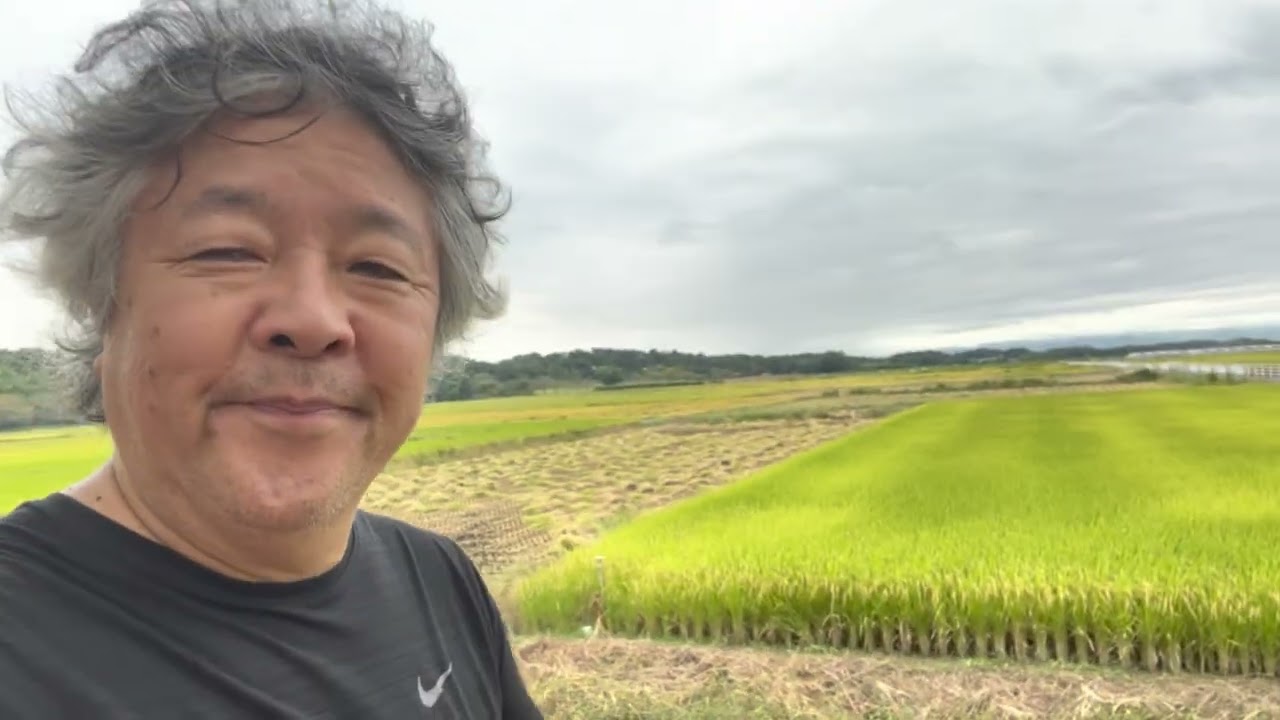 #旅ラン 成島駅から多々良沼、群馬県立館林美術館を経て多々良駅へ