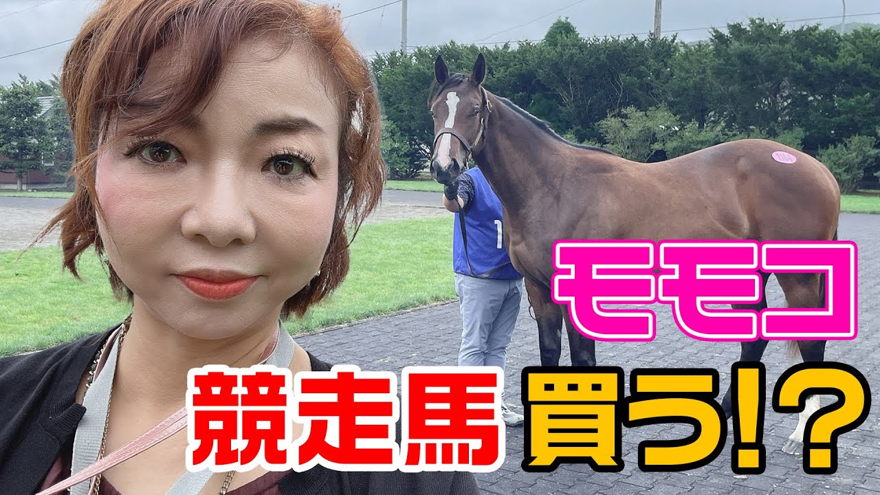 ▶252【まさかの馬主！？】人生初体験！▼競走馬の市場「セレクトセール」を見に行った！▼「馬を買う」という人に連れて行ってもらった▼最終的にモモコが馬に命名？