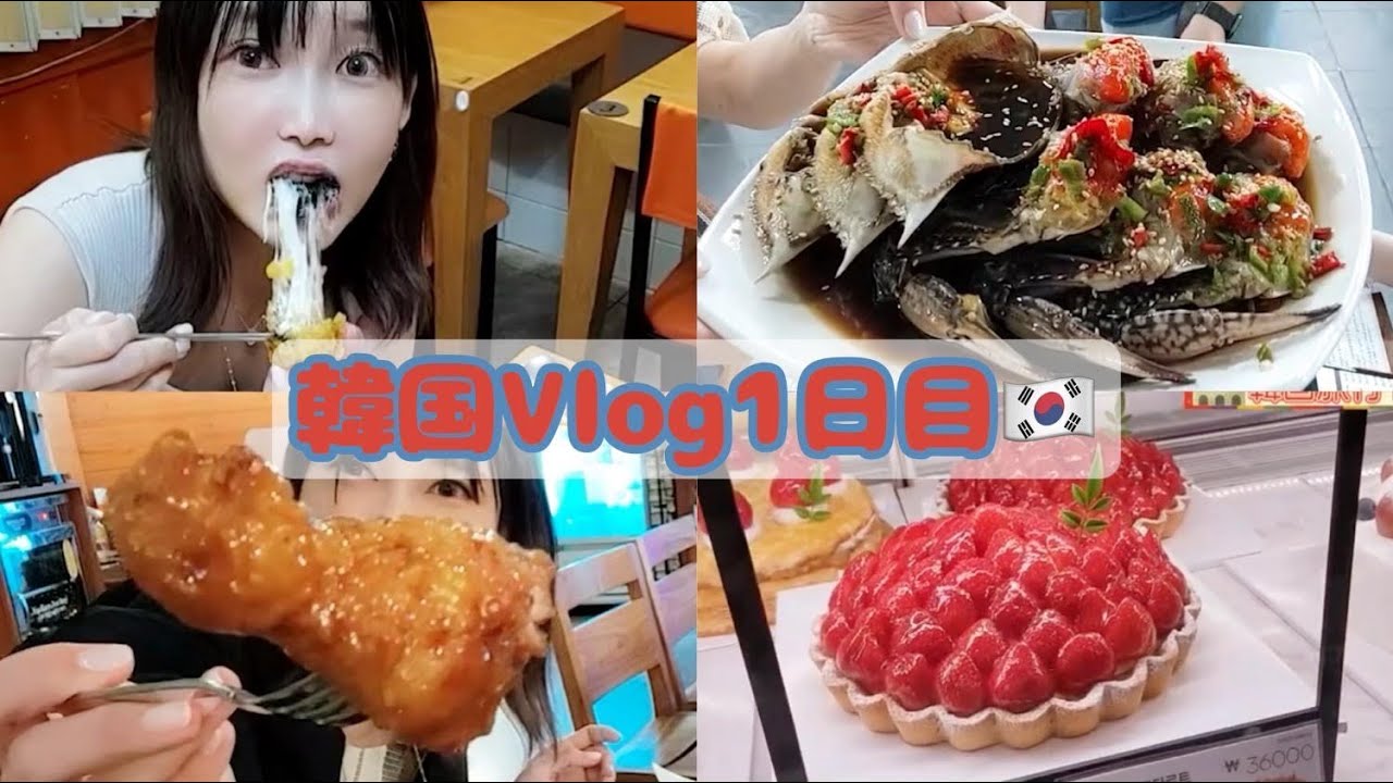 【韓国Vlog】夕方に到着して食べまくり！トッポギ、カンジャンケジャン食べ放題、バニーコンボチキンソルロンタン…etc【木下ゆうか】