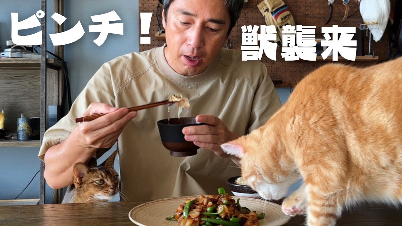 二匹の獣に襲われる中年男性【豚肉とピーマン炒め定食】