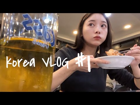 【韓国VLOG#1】3年ぶりの韓国ー！！素すぎ笑 たべまくり旅🐽