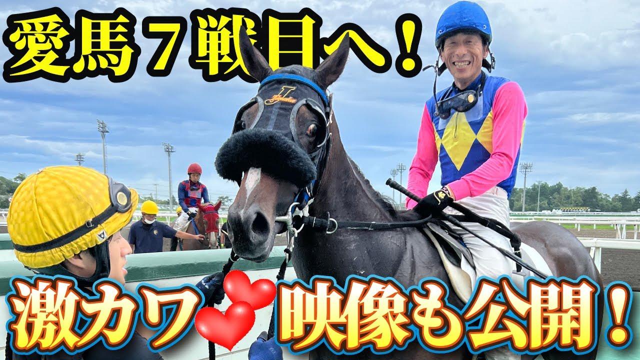 【馬主】次が門別ラストチャンス！？愛馬の次走と近況についてお話します