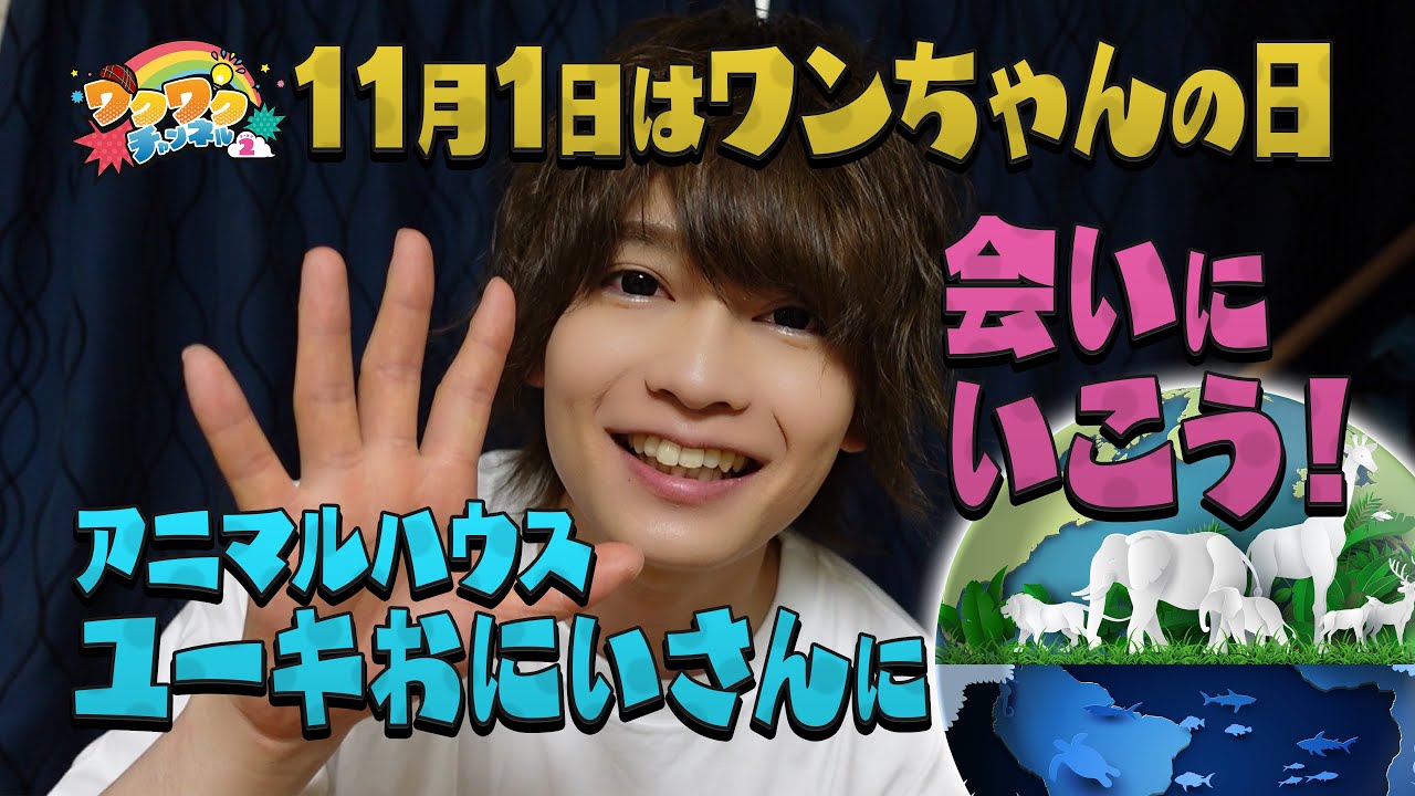 11月1日はワンちゃんの日！どうぶつにくわしいアニマルハウスユーキおにいさんに会いに行こう！｜ワクワクチャンネル シーズン2 #4