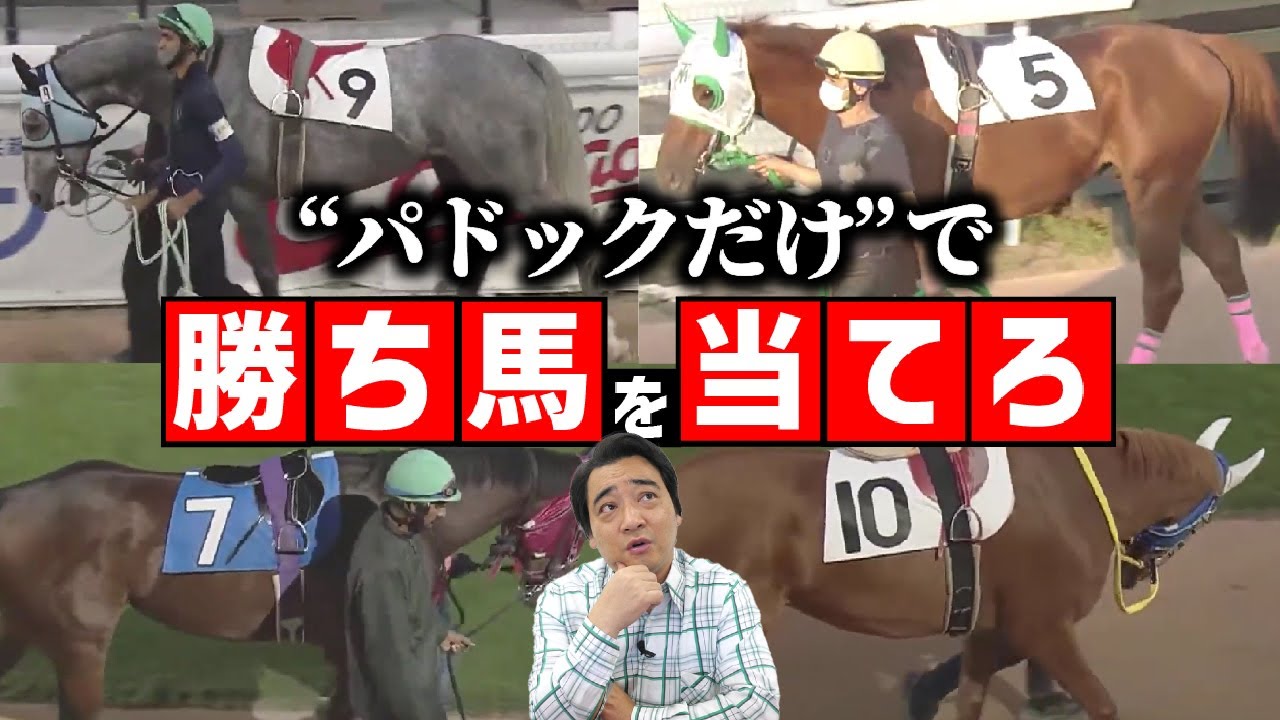 【神回】新企画！パドックで馬体だけ見て勝ち馬を当てろ！