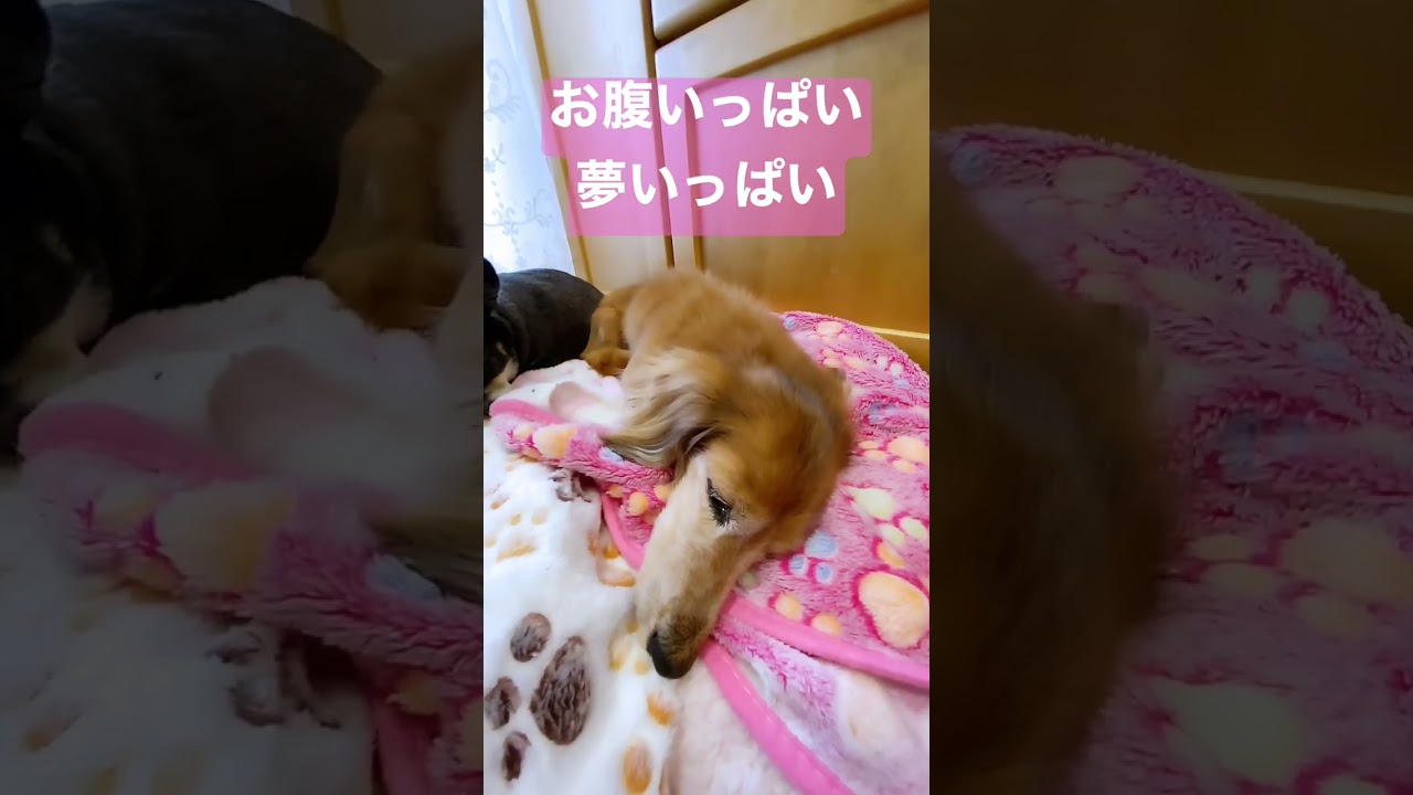 皆様ありがとうございます💕