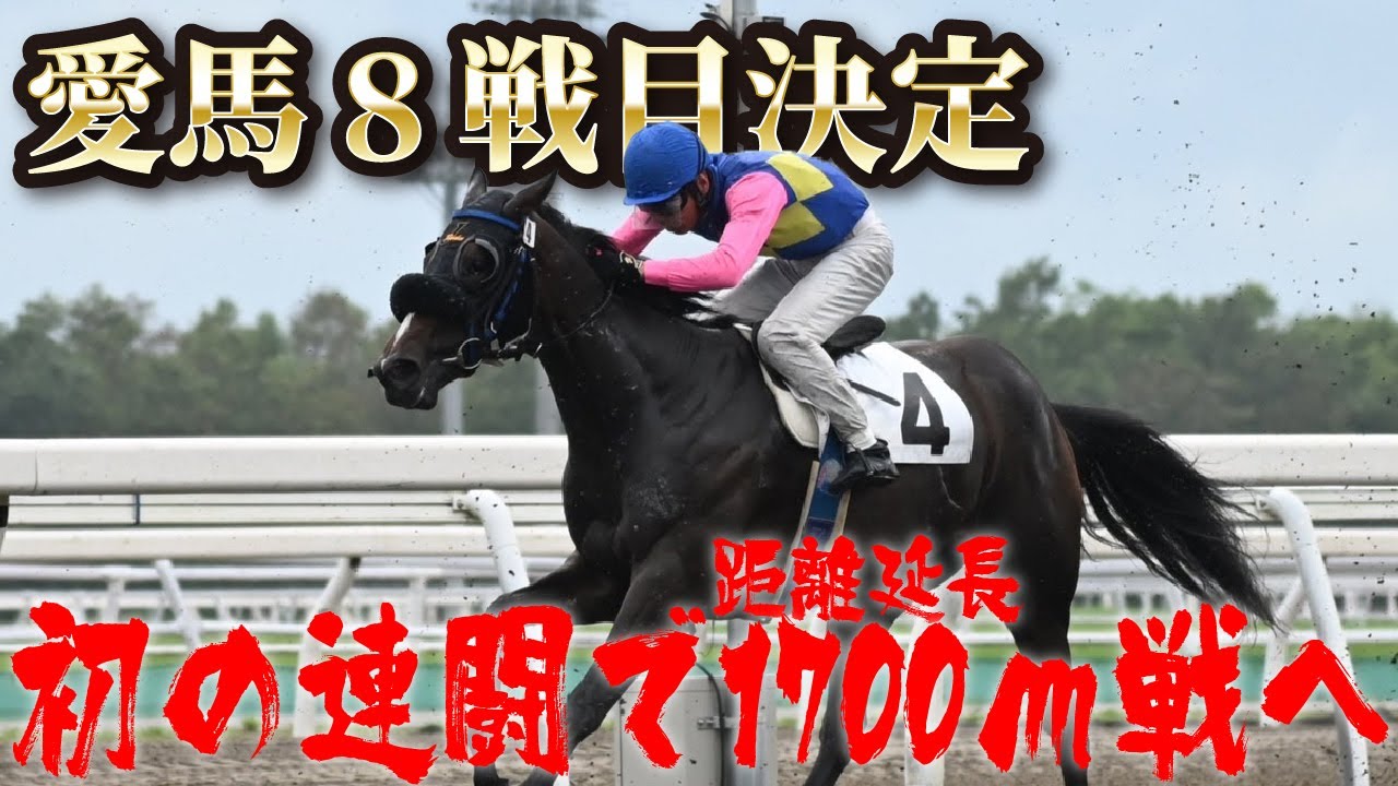 【馬主】愛馬オマタセシマシタが初の連闘で今年の門別最終戦へ！状態はいかに！