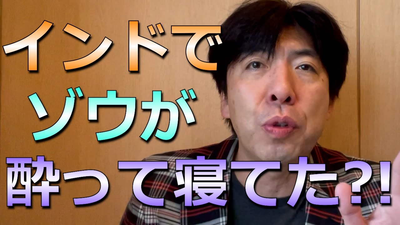 酔っ払いゾウで3連続謎かけ！！